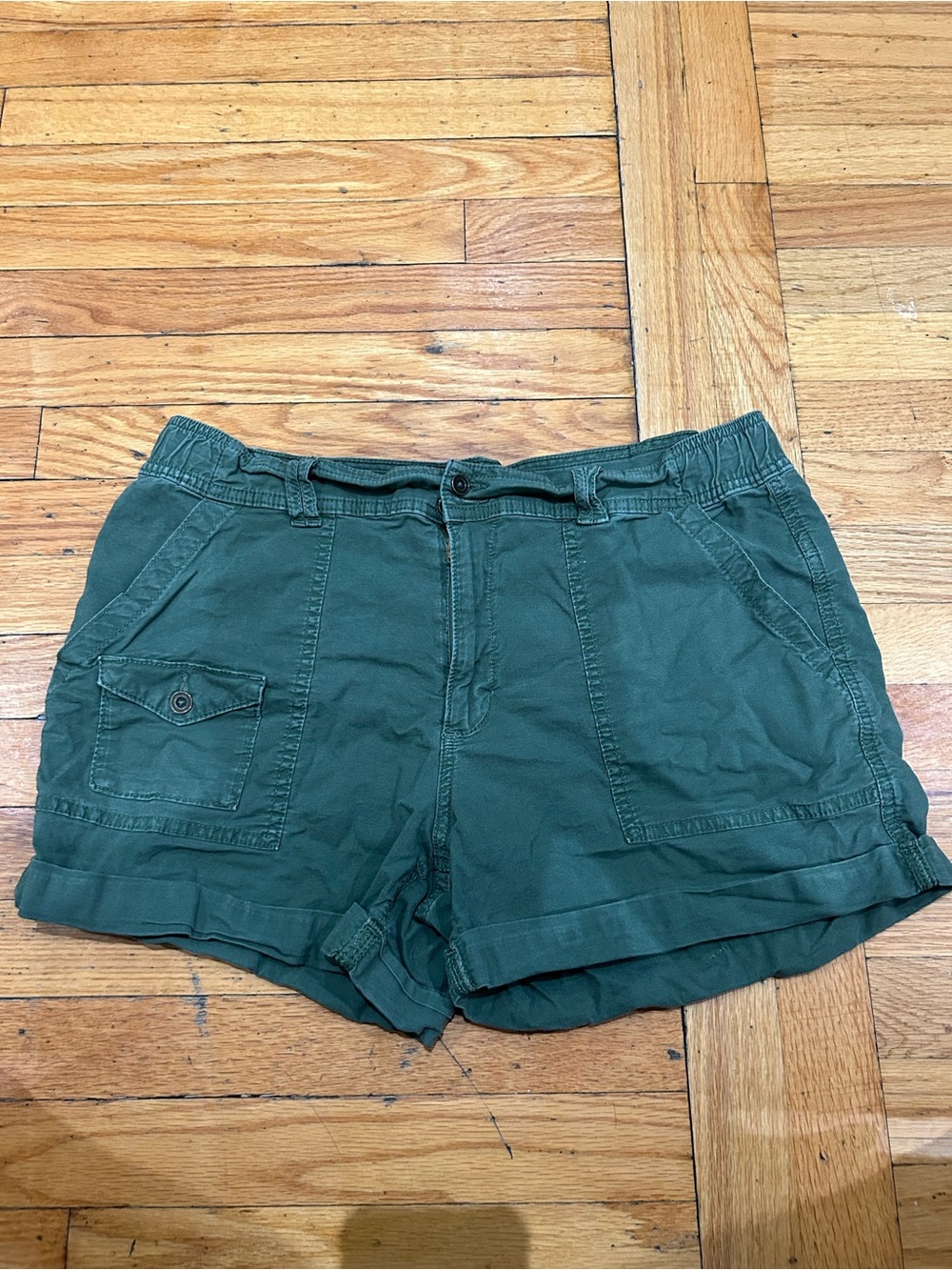 Time and Tru Olive Green Cargo Shorts